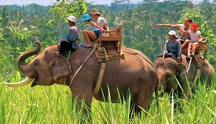 things to do in jim corbett national park,adventure activities in jim corbett,wildlife safari in jim corbett,relaxation and rejuvenation in jim corbett,camping in jim corbett,trekking in jim corbett,birdwatching in jim corbett,cultural experiences in jim corbett,exploring nearby attractions in uttarakhand,accommodation options in jim corbett