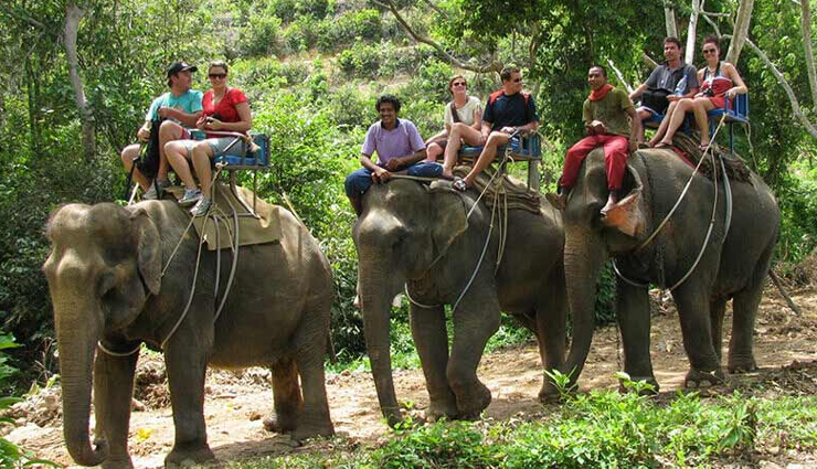 best activities in jim corbett national park,jeep safari permits jim corbett,where to stay in jim corbett,elephant rides in jim corbett national park,rafting on kosi river jim corbett,top bird watching spots jim corbett,river crossing adventure jim corbett,camping experiences near jim corbett,rock climbing adventures jim corbett,trekking routes in jim corbett national park,fishing spots near jim corbett,best time for activities in jim corbett