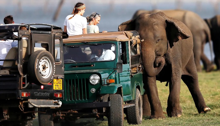 adventure activities in sri lanka,things to do in sri lanka,sri lanka travel guide,sri lanka adventure sports,best places for adventure in sri lanka,hiking in sri lanka,surfing in sri lanka,diving in sri lanka,wildlife safari sri lanka,adrenaline activities sri lanka,sri lanka tourism,outdoor adventures sri lanka