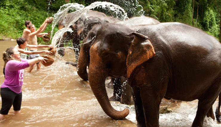 unforgettable thailand experiences,exclusive thai adventures,one-of-a-kind activities in thailand,thailands unique attractions,extraordinary thai adventures,exclusive travel experiences in thailand,exceptional things to do in thailand,thailands unique adventures,only-in-thailand experiences,uncommon activities in thailand