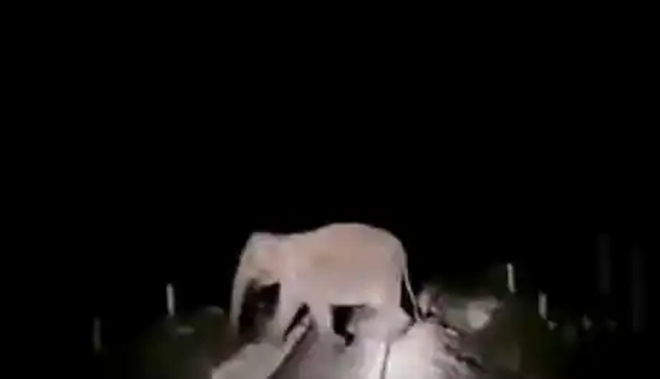 जब तेज रफ्तार से जा रही ट्रेन के सामने आ गए तीन हाथी, लोको पायलट ने किया ऐसा,  रेल मंत्री ने की तारीफ, देखे वीडियो