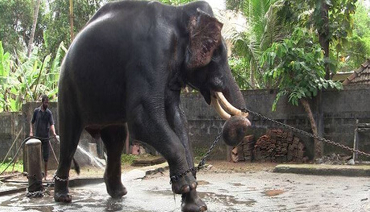 tourist places in kochi,best places to visit in kochi,top attractions in kochi,kochi travel guide,things to do in kochi,kochi sightseeing spots,famous places in kochi,must-visit in kochi,kochi tourism