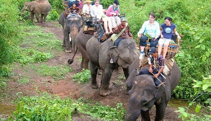 goa,amazing time in goa,goa travel,travel places in goa,goa tourism,tourist places in goa,travel guide,travel tips