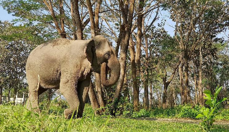 places to explore in thailand,thailand travel destinations,december tourism thailand,ko lanta,chiang rai attractions,ko phi phi nightlife,elephant valley sanctuary,phuket beaches,railay beach activities,bangkok must-see spots,koh samui resorts,trang beaches,pattaya attractions