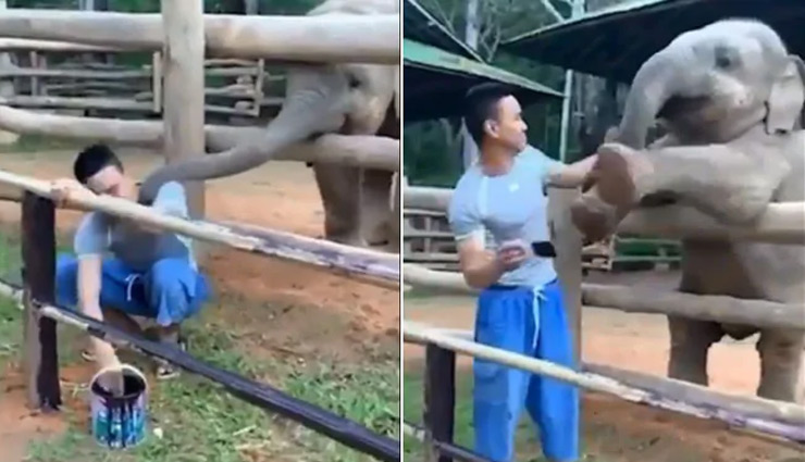 आपके दिन भर की टेंशन को दूर कर देगा ये मजेदार वीडियो, सोशल मीडिया पर वायरल