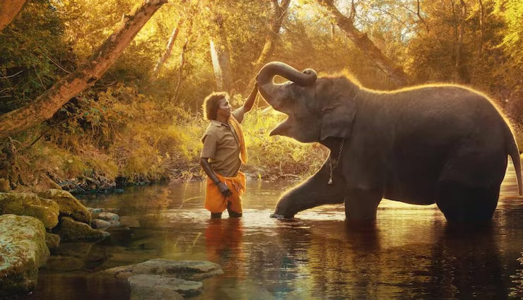 Oscar 2023 से भारत के लिए आई अच्छी खबर,  'द एलिफेंट व्हिस्परर्स' ने जीता बेस्ट शॉर्ट डॉक्यूमेंट्री का अवॉर्ड  