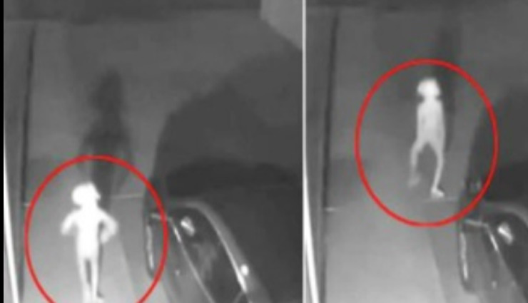 सीसीटीवी में कैद हुआ एल्फ जैसा जीव, वीडियो को 3 करोड़ से ज्यादा लोगों ने देखा 