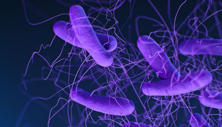 dry brushing benefits,health benefits of dry brushing,dry brushing for skin health,how to dry brush for health,dry brushing for lymphatic drainage,dry brushing for cellulite,best dry brushing techniques,benefits of dry brushing before shower,dry brushing for immune system,dry brushing for natural detoxification