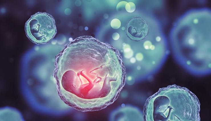 जयपुर : अवैध भ्रूण लिंग की जांच करते हुए गिरफ्तार हुए डॉक्टर और दलाल