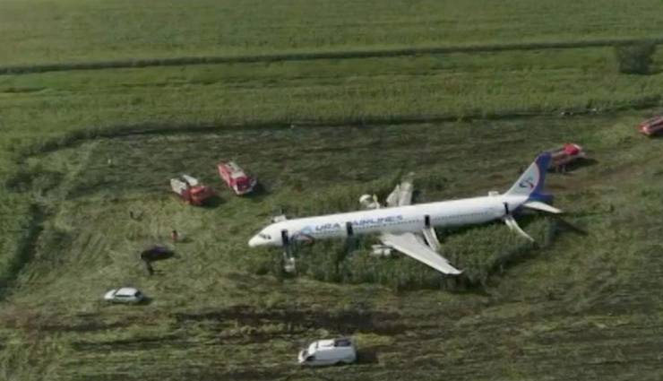 हादसा : विमान से टकराया पक्षियों का झुंड, मक्के के खेत में कराई लैंडिंग, 233 यात्री थे सवार