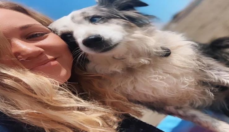 weird news,weird incident,weird lady,emily and jackson,san francisco,7000 dollar reward for stolen dog