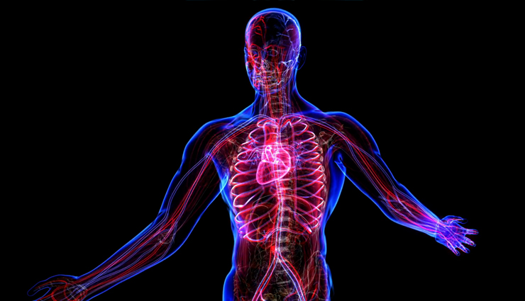 jaggery,jaggery health benefits,gur,gur health benefits,healthy food jaggery,eat jaggery in winters,Health,Health tips