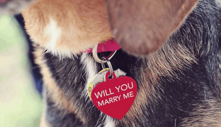 engagement proposal,engagement proposal tips,ideas for engagement proposal,marriage tips,marriage proposal ideas,relationship,relationship tips