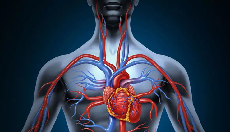 jujube health benefits,benefits of jujube,jujube fruit,jujube for health,jujube uses,jujube nutrition,health benefits of jujube,jujube for immunity,jujube for sleep,jujube for digestion,jujube fruit benefits,jujube medicinal properties,jujube for skin,jujube benefits for weight loss,jujube natural remedies,jujube fruit for detox,jujube in ayurveda,jujube health benefits for immunity,jujube fruit for anxiety