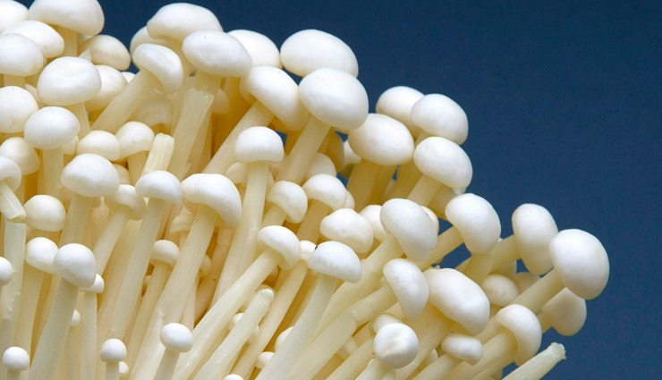 6 Reasons Why Enoki Mushroom is Healthy for Health