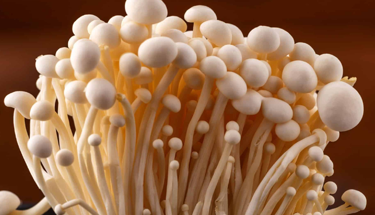 9 Health Benefits of Enoki Mushroom You Never Knew