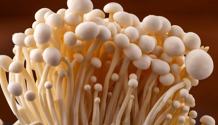 enoki mushroom health benefits,nutritional value of enoki mushrooms,enoki mushrooms for immune support,enoki mushrooms for heart health,enoki mushrooms for digestive health,enoki mushrooms for weight loss,enoki mushrooms for cancer prevention,enoki mushrooms for bone health,adding enoki mushrooms to your diet,enoki mushrooms as a superfood