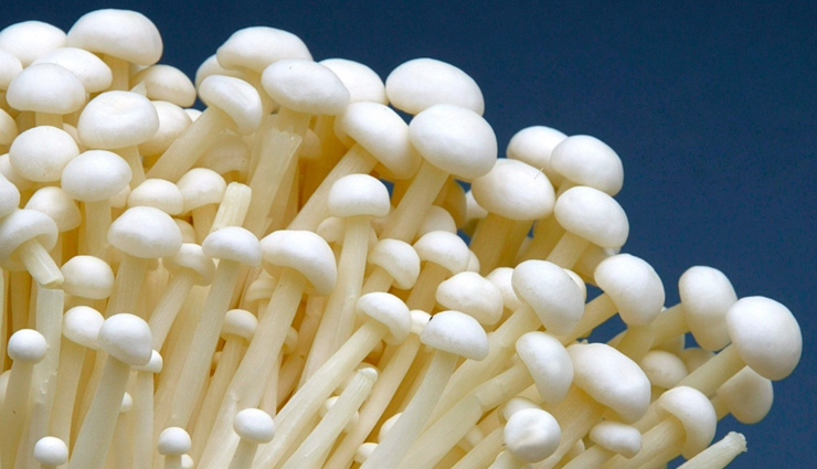 enoki mushroom health benefits,nutritional benefits of enoki mushrooms,enoki mushroom recipes,enoki mushrooms for immune system,enoki mushrooms for weight loss,enoki mushrooms for cancer prevention,enoki mushrooms for digestive health,enoki mushrooms for skin health,enoki mushrooms for cardiovascular health,enoki mushrooms for brain health