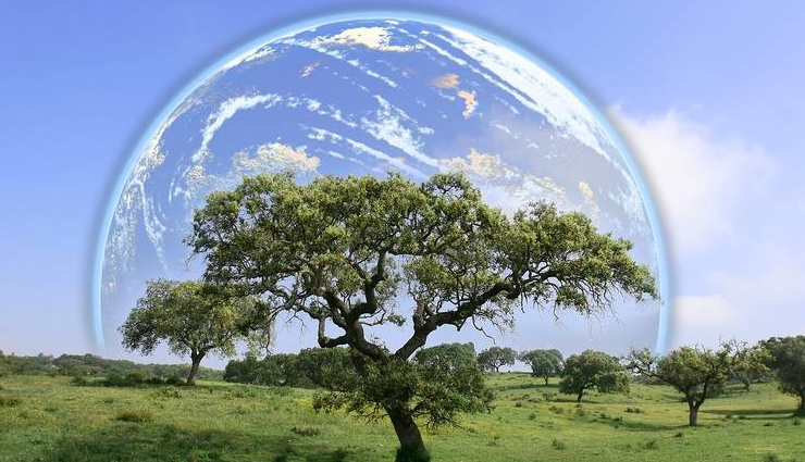 this world environment day let us green the blue,world environment day,importance of world environment day