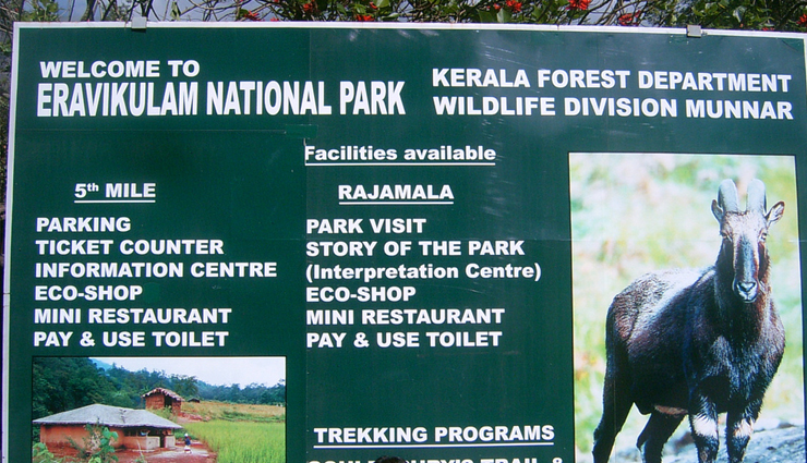 munnar,honemoon in munnar,munnar tourist places,munnar tourism,kerala,kerala tourism,holidays,honemoon destinations