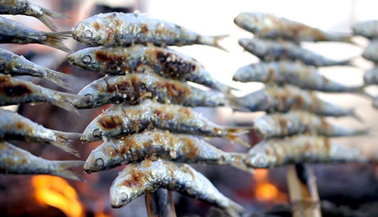 andalusian terrain,flamenco at el palacio andaluz in seville,espetos de sardinas malagueno in malaga,sacromonte,the great mosque of cordoba,alcazar de sevilla,los pueblos blancos arcos de la frontera,travel,tourism,holidays