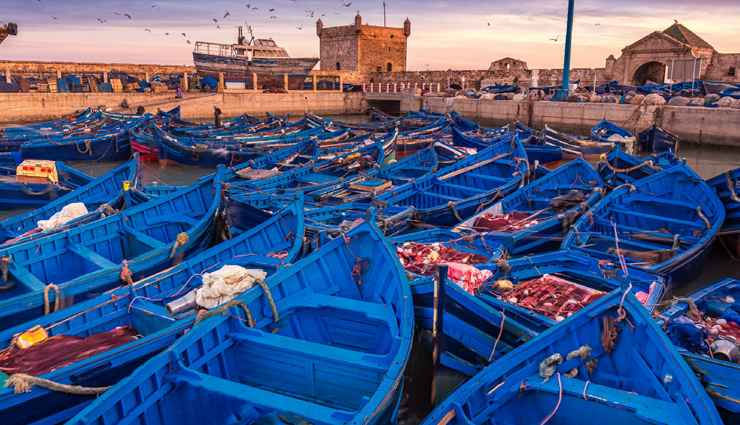 morocco tourist destinations,top places to visit in morocco,best tourist spots in morocco,morocco travel guide,popular attractions in morocco,must-see places in morocco,exotic destinations in morocco,historic sites in morocco,cultural experiences in morocco,morocco sightseeing guide