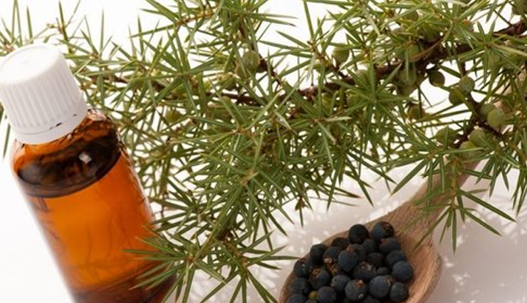 tea tree essential oil,lavender essential oil,neem essential oil,peppermint essential oil,geranium essential oil,frankincense essential oil,chamomile essential oil,juniper essential oil,essential oils,essential oils for skin problems,skin care tips