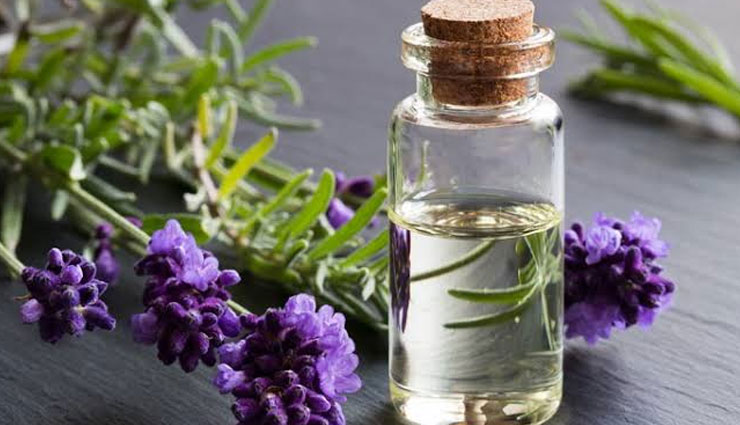 essential oils,essential oils to treat migraine,migraine tips,Health tips,fitness tips