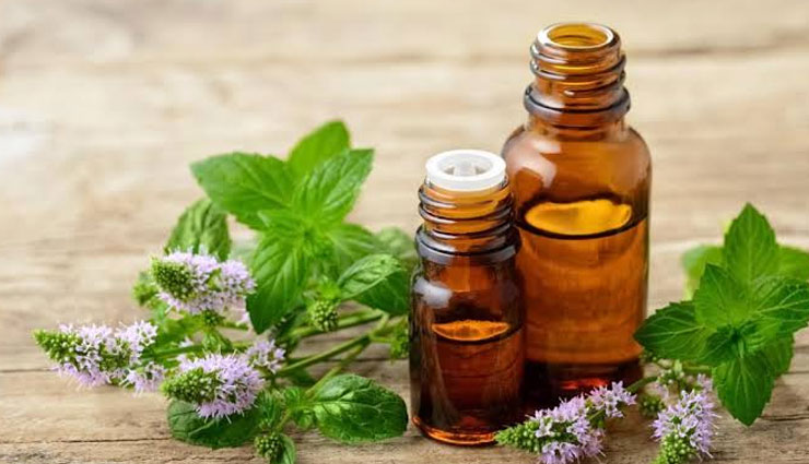 essential oils,essential oils to treat migraine,migraine tips,Health tips,fitness tips