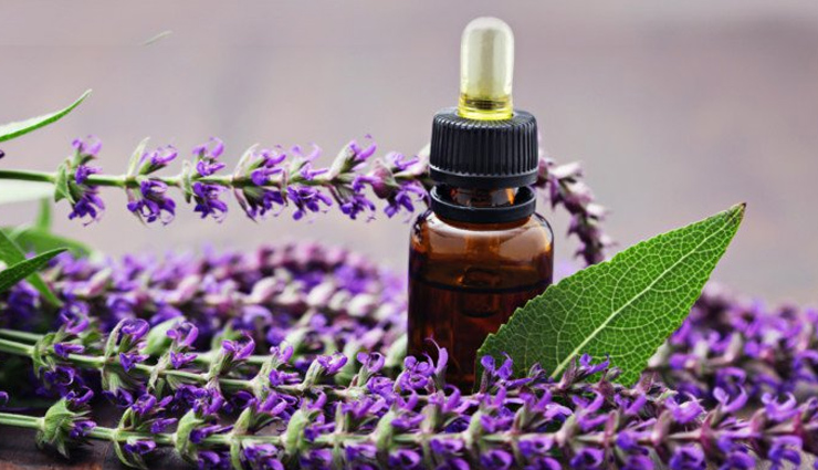 peppermint essential oil,lavender essential oil,eucalyptus essential oil,chamomile essential oil,rosemary essential oil,clary sage essential oil,frankincense essential oil,essential oils,essential oils for migraines,tips for headaches,Health tips,fitness tips