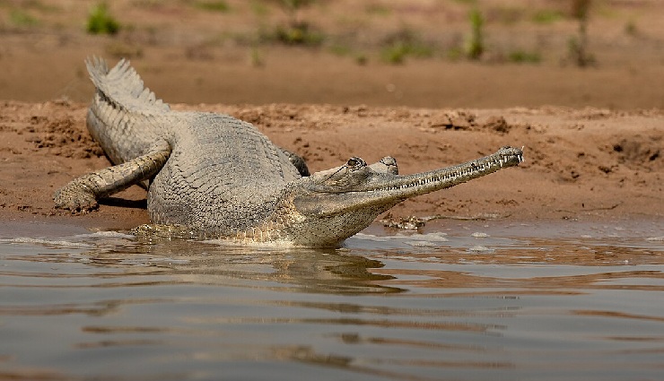 road trips from agra,places to visit near agra,weekend getaways from agra,budget travel from agra,taj mahal agra,agra travel guide,road trip ideas under 4000 rupees,agra nearby attractions,historical places near agra,best short trips from agra,travel destinations near agra