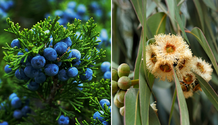 cold feet,cold feet treatment,natural ways to treat cold feet,cold feet treatment at home,Health,Health tips