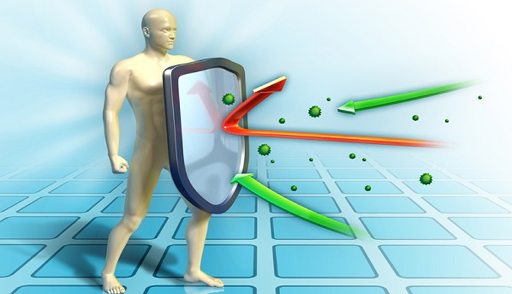 health benefits of eucalyptus,eucalyptus,Health tips,fitness tips