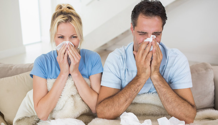 eucalyptus health benefits,benefits of eucalyptus oil,eucalyptus leaves benefits,eucalyptus plant benefits,eucalyptus essential oil benefits,eucalyptus extract health benefits,eucalyptus uses for health,eucalyptus medicinal properties,health benefits of using eucalyptus,eucalyptus oil benefits for health,eucalyptus health remedies,eucalyptus benefits for respiratory health,eucalyptus aromatherapy benefits,eucalyptus oil for wellness,eucalyptus for sinus relief,eucalyptus benefits for skin,eucalyptus tea benefits,eucalyptus uses in natural remedies,eucalyptus oil benefits for hair,eucalyptus benefits for immune system