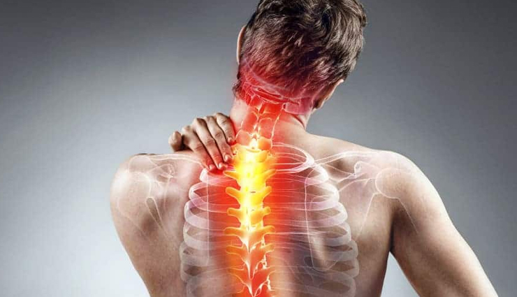 health benefits of eucalyptus,eucalyptus,Health tips,fitness tips