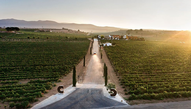 europe,couples things to do in europe,wander around the amalfi coast,italy,paraglide in france,wine tasting tour in valencia,spain,ranch life in seville