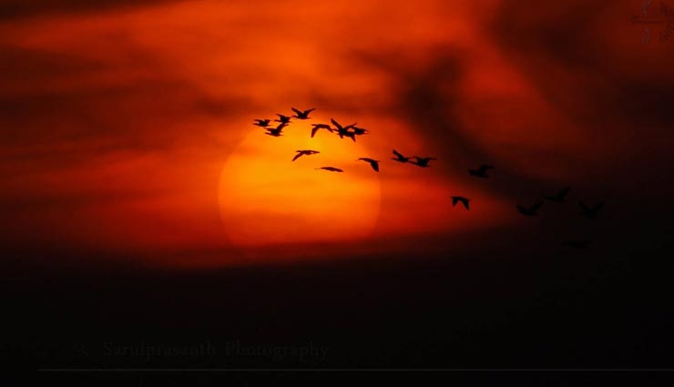 astrology tips,astrology tips in hindi,bad behavior,behavior lead to waste