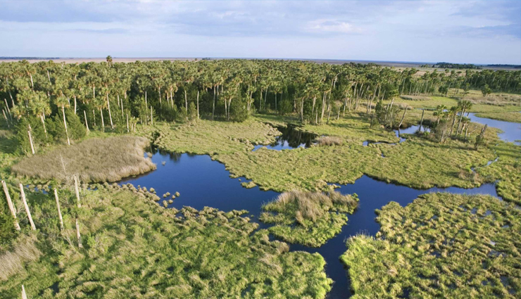 unesco sites that are in danger,world unesco sites that are in danger,sites that are in danger,travel,holidays,travel guide,travel tips