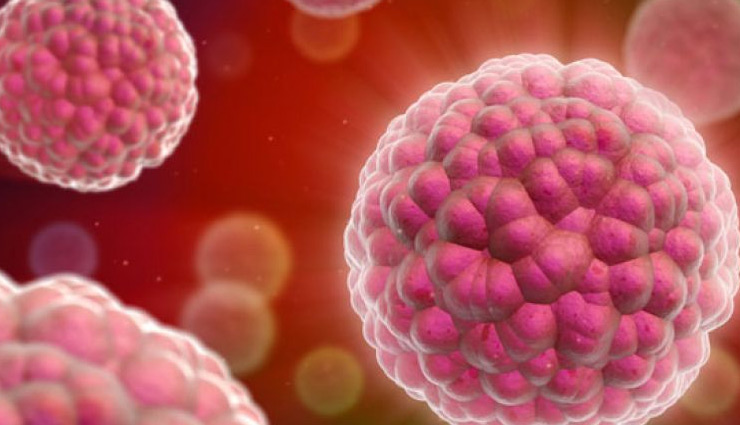 fitness,diet,protein diet,types of protein diet,risk of getting cancer,protein diet,protein can cause cancer,Health,Health tips