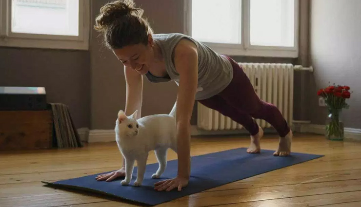 exercises for fat loss at home,healthy living,Health tips