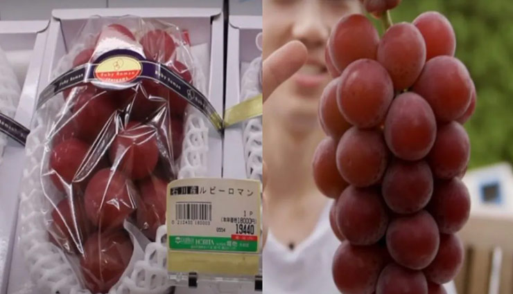 इस अंगूर को खरीदने के लिए जेब में होने चाहिए लाखों रुपए, 1 दाने की कीमत है 35 हजार रूपये