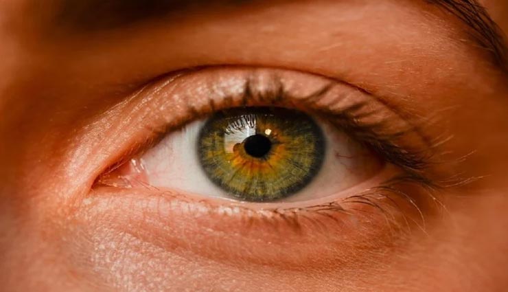 Health tips,health tips in hindi,home remedies,irritation and dryness of eyes,eyes care tips ,हेल्थ टिप्स, हेल्थ टिप्स हिंदी में, घरेलू उपाय, आंखों की देखभाल, आंखों में जलन और ड्राइनेस