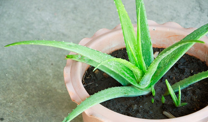 the problem of irritation in the eyes is increasing these measures will give relief,Health,healthy living