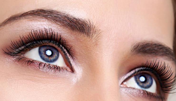 5 Ways To Help You Grow Eyebrows Quickly