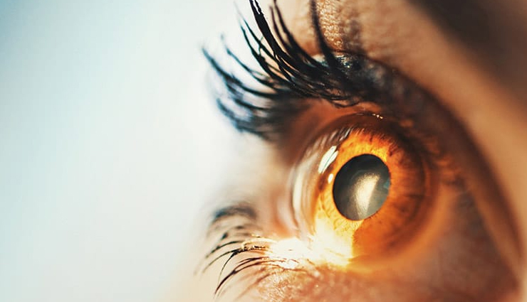 paneer benefits,health benefits of paneer,eating paneer for health,paneer and its advantages,why paneer is good for you,nutritional benefits of paneer,paneer for a healthy diet,benefits of consuming paneer,paneer and its positive effects on health,incorporating paneer into a healthy lifestyle