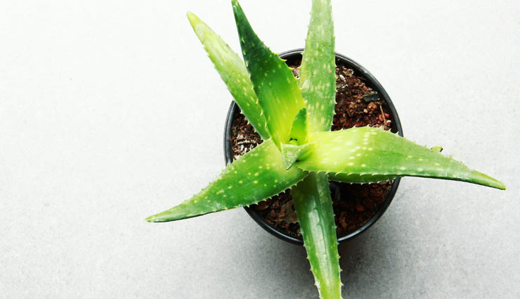 homemade face packs,face packs for dark spots,remedies to get rid of dark spots,skin care tips,beauty tips