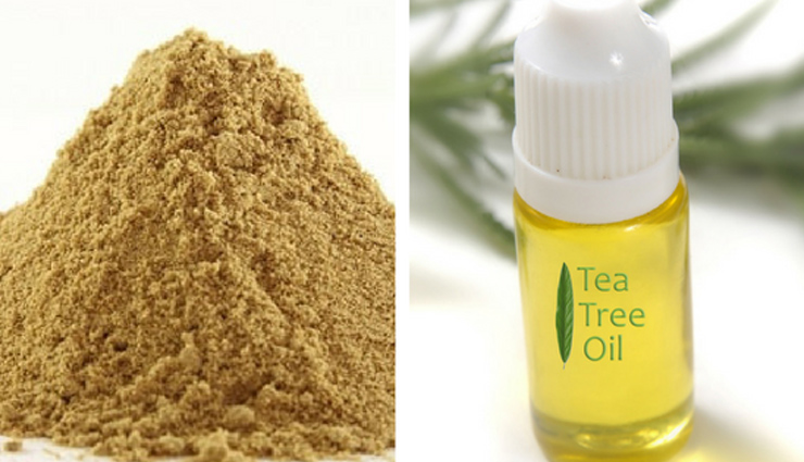 multani mitti and rose water,cucumber and tomato,honey and lemon,honey and milk,almond oil and aloe vera,yoghurt and besan,oatmeal and milk cream,orange peel and curd,papaya and milk,neem powder and besan,homemade face cleansers,homemade face wash,skin care tips,beauty tips