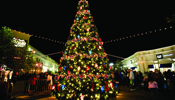 christmas 2018,acts about christmas tree,christmas tree