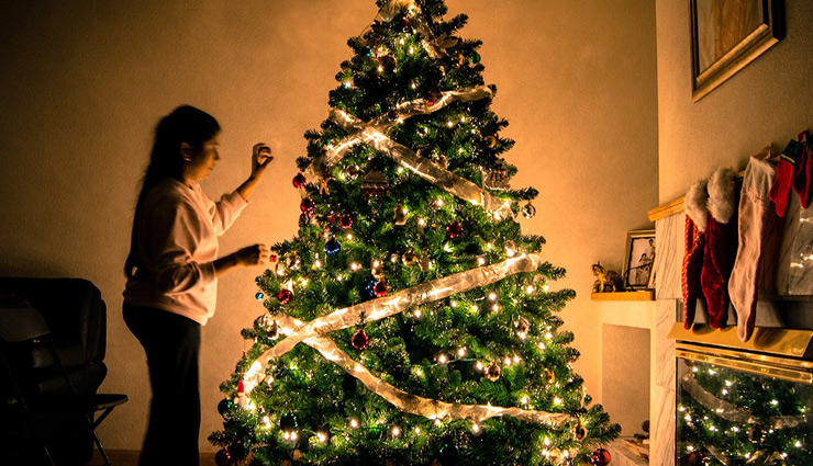 Christmas 2018- 5 Unknown Facts About Christmas Trees