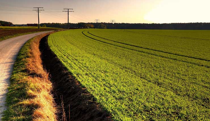 facts about haryana,haryana